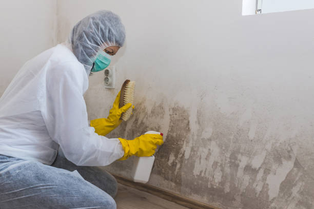 Best Crawl Space Mold Removal  in Bishop, CA