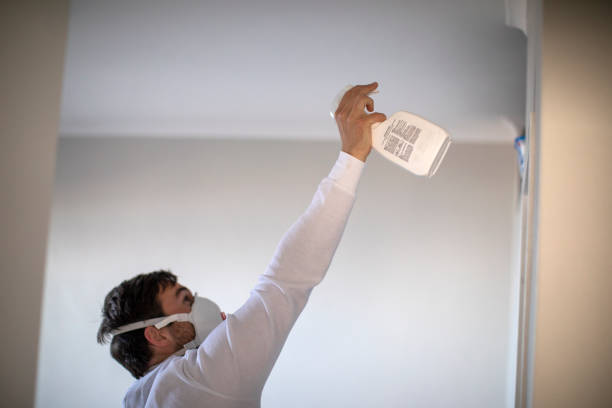 Best Fast Mold Removal  in Bishop, CA