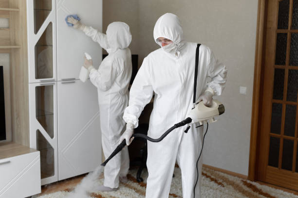 Best Office Mold Removal Services  in Bishop, CA