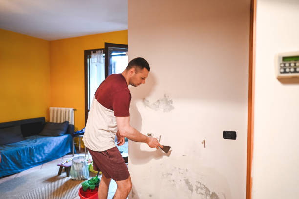 Best Professional Mold Removal  in Bishop, CA