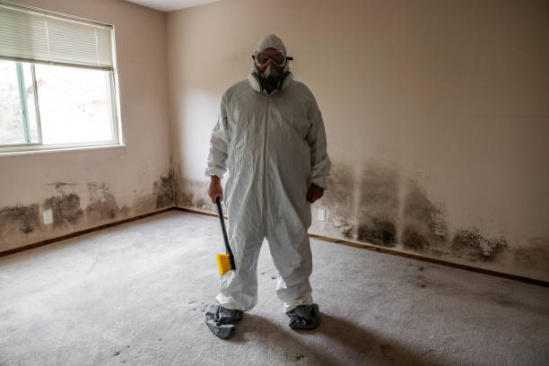 Office Mold Removal Services in Bishop, CA